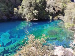 -叠溪松坪沟景区