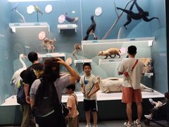 -国家自然博物馆