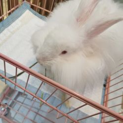 -Moni星球萌宠·小马宝莉·灵蛇·高端高阶全萌宠互动体验俱乐部(红豆国际广场店)