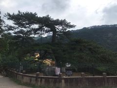 -九华山风景区