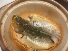 -马仕玖煲·融合菜·酥不腻烤鸭(人大店)