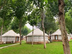 -九十九顶毡房(阜石路店)