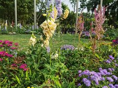 -深圳国际园林花卉博览园