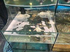 -丰收渔港饭店(嵊泗店)