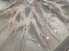 -金沙遗址博物馆