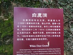 -白鹿洞书院