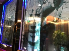 -鹿港小镇(滨北店)