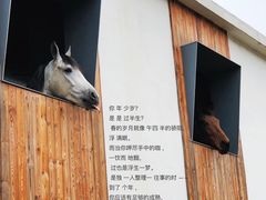-枫露马术学院(藏书校区)