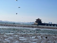 -栈桥景区
