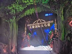 -广州长隆国际大马戏