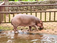 -海南热带野生动植物园