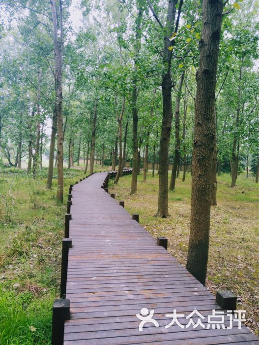 呼吸森林-图片-苏州美食-大众点评网