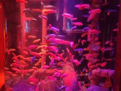 -沈阳海洋探索中心