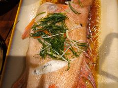 -亚特兰蒂斯-番红花海鲜自助餐厅·鲜活海鲜·小火锅