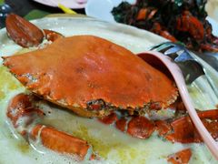 -龙海鲜螃蟹王(宏茂桥店)