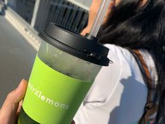 -introlemons(北京西单更新场店)