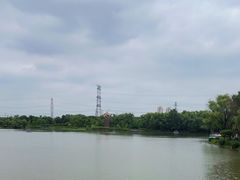 -昆山城市生态森林公园