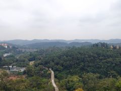 -南宁良凤江国家森林公园