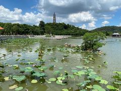 -顺峰山公园