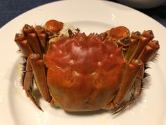 -康莱德酒店·美庭自助餐厅