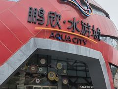 -鹏欣水游城