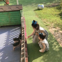 -萌宠亲子动物乐园(槐房万达店)