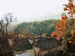 -塔川景区