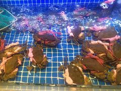 -阿明小菜·海鲜·上海菜(梅陇店)