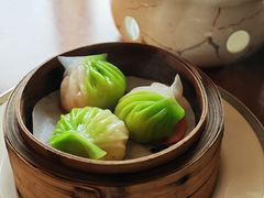 -广州富力君悦大酒店空中花园