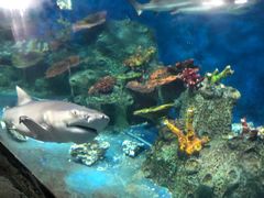 -泉州海丝野生动物世界