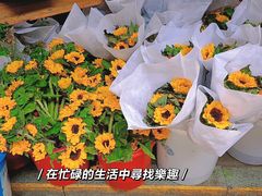 -循礼门鲜花花市(武汉循礼门店)