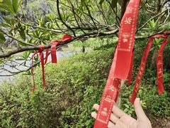 -飞来湖湿地公园