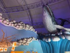 -烟台海昌鲸鲨海洋公园