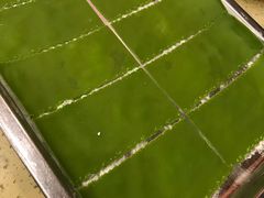 -芭夯兔·无骨兔汤锅(华阳店)