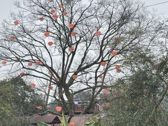 -樱桃山旅游景区