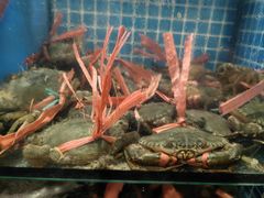 -翠恒酒家(宴会厅)