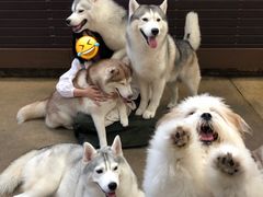-TrueLove @ Neverland (Husky Cafe)