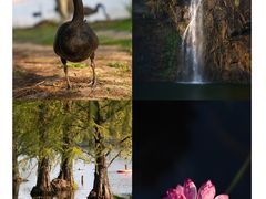 -上海辰山植物园