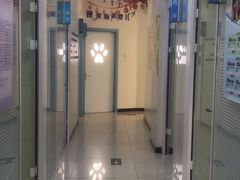 -全心全意连锁动物医院·微创中心·内科急重症·心脏专科(丰管路店)