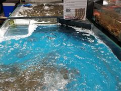 -盒马鲜生(曜一城店)