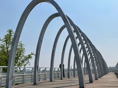 -大兴滨河森林公园