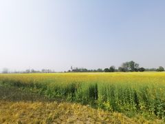 -中国天府农业博览园