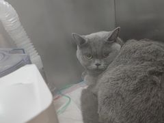 -萌兽医馆·眼科·异宠专科(三里屯店)