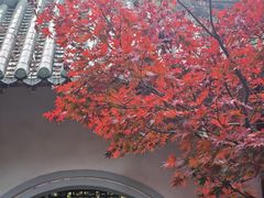 -中山公园