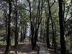 -火炉山森林公园