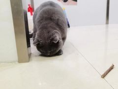 -佳雯宠物医院(金华南路分院)