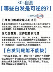 -Bollins波林丝•专研护发中心