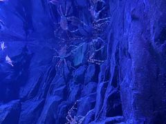 -香港海洋公园