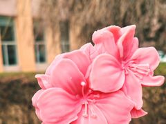 -吉林大学(南岭校区)