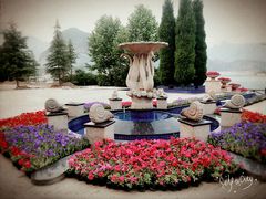 -天鹅湖生态旅游风景区